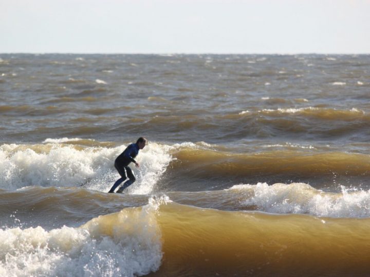 Серфинг в Петербурге расписание WSGS на неделю 10.09-16.09