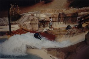 Искусственные волны: предыстория и первые установки