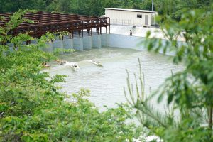 Искусственные волны: современные технологии